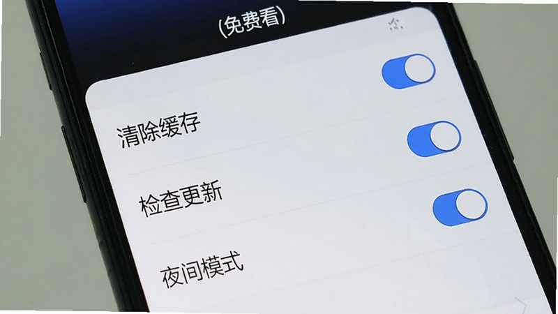 主体为手机屏幕显示“(免费看)”的设置界面,布局为列表形式,包含“清除缓存”“检查更新”“夜间模式”等选项,风格简洁,细节有蓝色开关按钮,画质清晰,无多余元素。