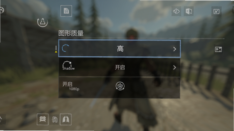 游戏设置界面截图,展示图形质量选项为“高”,阴影开启,分辨率1080p,背景模糊处理,突出设置项,界面简洁,无其他干扰元素