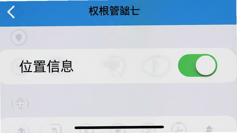 手机设置界面截图,展示权限管理页面,主体为“位置信息”开关,布局清晰,风格系统原生,细节真实,画质清晰,无多余元素