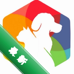Petra Pal ����ܼ�1.0.0 ��׿�� ���ﻤ������