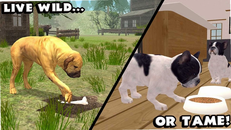 猎犬狗模拟截图4