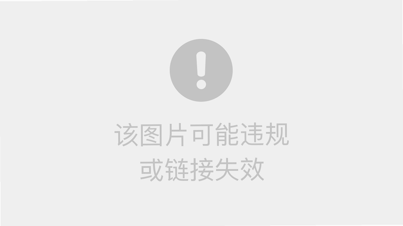 petCompanionR 安卓版 数据安全认证