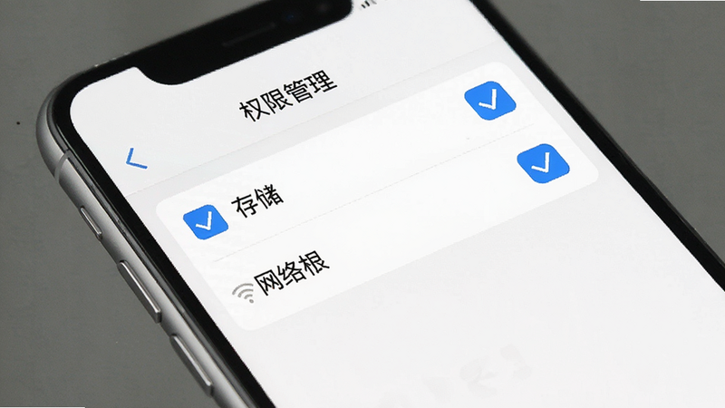 一张手机界面示意图,显示“权限管理”页面,勾选了“存储”和“网络”权限,界面简洁,白色背景,蓝色勾选框,高画质