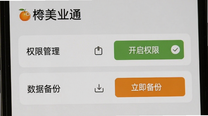 手机屏幕截图风格,展示橙子美业通的设置页面,焦点在“权限管理”和“数据备份”选项上,背景为浅灰色,文字清晰,布局简洁,风格实用主义,细节处有选中状态的高亮显示,画质清晰,无其他干扰元素,文字“开启权限”、“立即备份”清晰可见