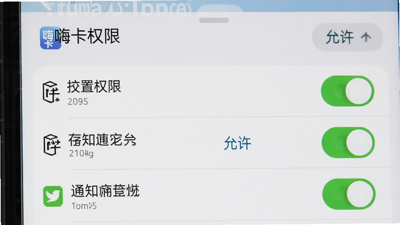 主体为手机设置界面截图,布局聚焦于应用权限管理区域,风格为系统原生UI风格,细节展示位置、存储、通知等权限开关为开启状态,画质清晰,干净,无多余元素,文字包含