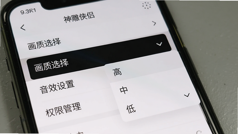 手机屏幕显示《神雕侠侣》设置界面,列表中包含“画质选择”、“音效设置”、“权限管理”等选项,当前选中“画质选择”,下拉菜单显示“高”、“中”、“低”,UI设计简洁,高清画质,干净无多余元素