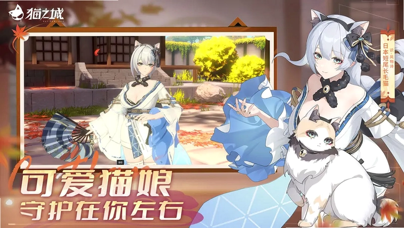 è֮�� Mao Zhi Cheng��ͼ3