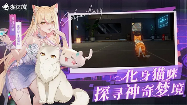 è֮�� Mao Zhi Cheng��ͼ1