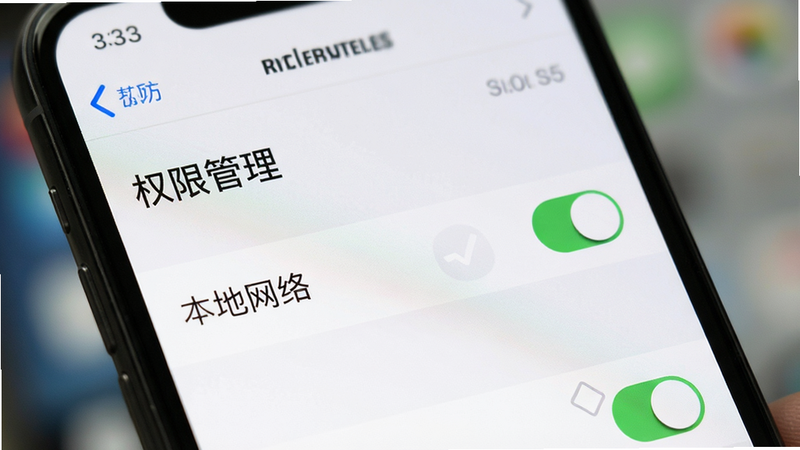 手机设置界面特写,显示'权限管理'页面,其中'本地网络'权限被勾选,背景模糊,布局清晰,风格简洁,细节突出权限开关,画质高清,干净无多余元素
