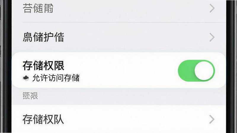 主体为手机设置权限界面示意图,布局为列表式,排版整齐,风格为iOS/Android混合UI风格,细节高亮显示“存储权限”开关状态,文字内容“允许访问存储”清晰可见,画质高清,干净,无多余元素