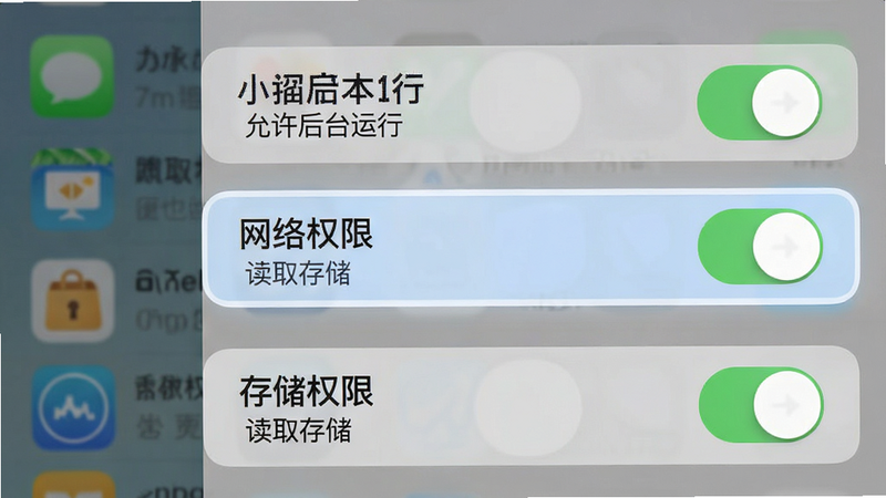手机设置界面的模拟图,高亮显示“网络权限”和“存储权限”选项。背景为模糊的APP列表,前景为清晰的权限开关列表。风格扁平化,iOS/Android混合UI风格,色调为系统默认的灰白蓝。细节清晰,开关状态明确。文字标注:'允许后台运行'、'读取存储'。