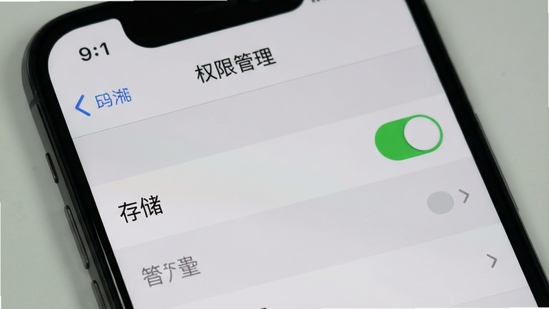 主体为手机设置界面,显示“权限管理”页面,布局为列表形式,排版清晰,风格系统原生灰色调,细节包含“存储”权限开关处于开启状态,画质清晰,干净,无多余元素