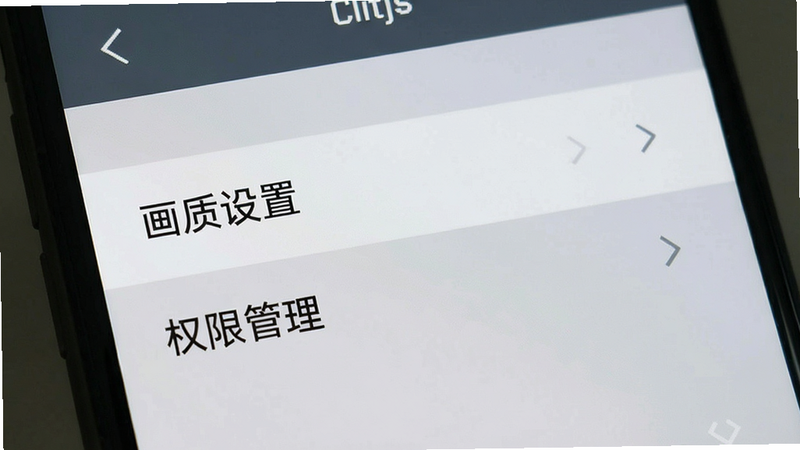 一张手机屏幕截图,显示游戏设置界面,重点高亮了“画质设置”和“权限管理”选项,背景为浅灰色,文字清晰,布局简洁,风格为扁平化UI设计,画质清晰,无多余图标