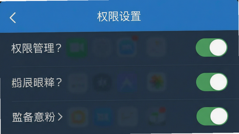 手机设置界面截图,主体为权限管理页面,布局为列表形式,风格为扁平化设计,细节包括开关按钮,画质清晰,干净,文字