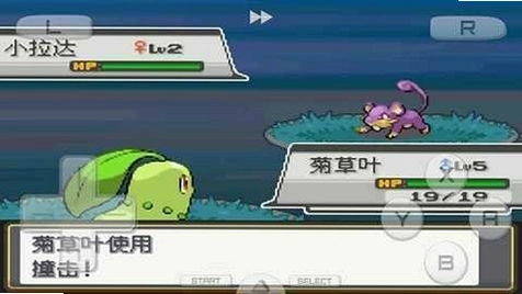 口袋妖怪-魂银版 Pokémon HeartGold截图1