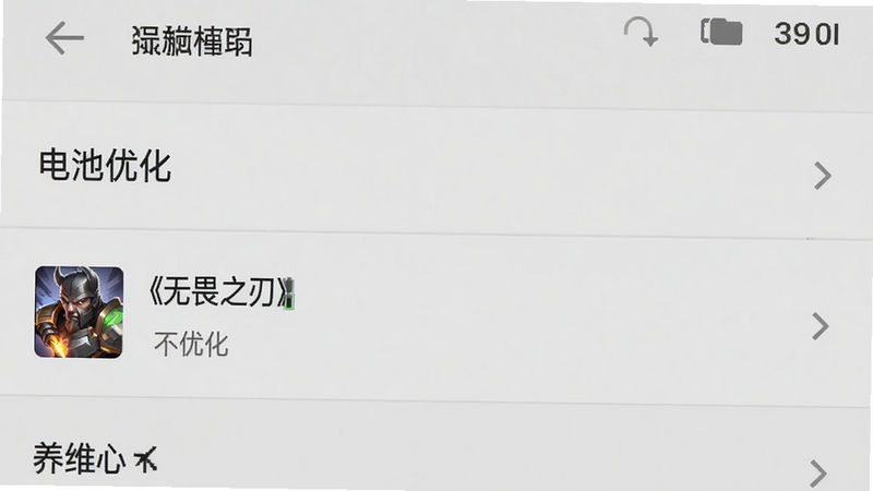 主体为手机设置界面截图,显示“电池优化”选项,其中《无畏之刃》被标记为“不优化”,背景为简洁的安卓设置菜单,整体风格为扁平化UI,色调为浅灰色,布局清晰,细节明确,画质高清,干净无多余图标