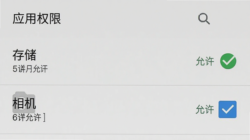 手机设置界面示意图,显示“应用权限”列表,其中“存储”和“相机”权限被勾选为“允许”。界面风格为安卓原生设置风格,清晰标注权限状态,背景简洁,无多余图标,高清晰度。