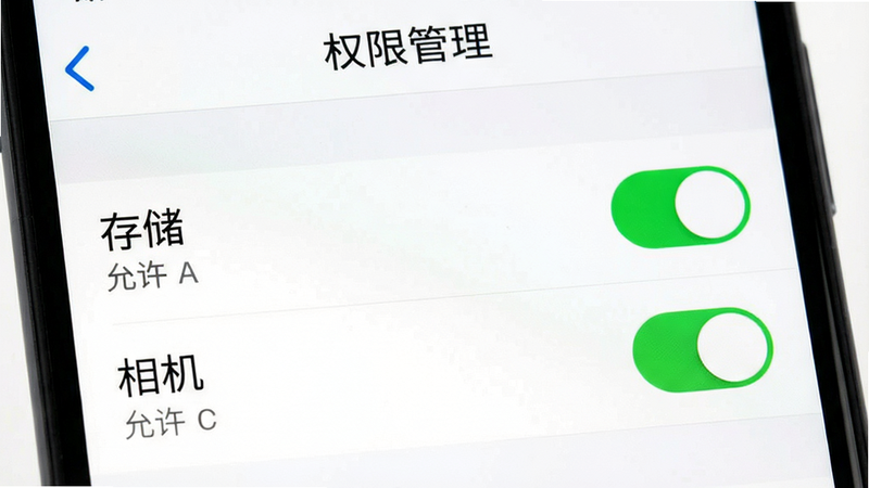 主体为手机设置界面截图,显示“权限管理”页面,其中“存储”和“相机”权限开关均为开启状态(绿色)。背景为纯白色,界面清晰,文字“允许”醒目。风格为系统原生UI风格,简洁明了,画质清晰,无多余装饰。