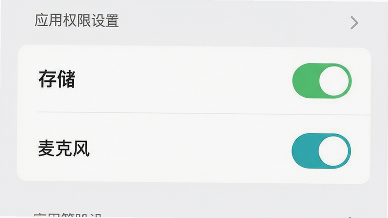 主体为手机设置界面示意,布局展示应用权限管理列表,排版简洁,风格扁平化,细节高亮显示“存储”与“麦克风”权限开关状态,画质清晰,干净,无多余元素