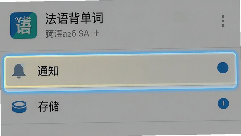 安卓手机设置界面截图,显示“法语背单词”应用权限管理页面,重点高亮“通知”和“存储”权限选项,背景为灰色,风格真实,细节清晰,画质高,无多余水印