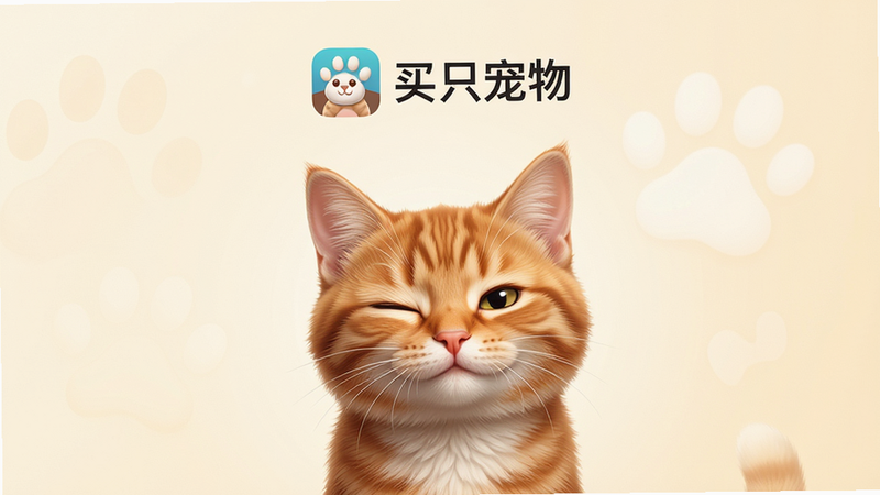 主体为“买只宠物”APP的安卓启动界面,布局采用居中对称设计,顶部显示软件Logo及名称,中部是一只高清写实的橘猫卡通形象正在眨眼互动,背景为柔和的奶油色渐变,排版简洁大方,风格清新治愈,细节丰富毛发清晰,画质4K,干净,无多余元素