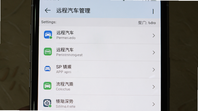 手机设置界面截图,显示“远程汽车”APP的权限管理选项,主体为设置列表,布局垂直,排版清晰,风格系统原生,细节真实,画质高,干净无干扰