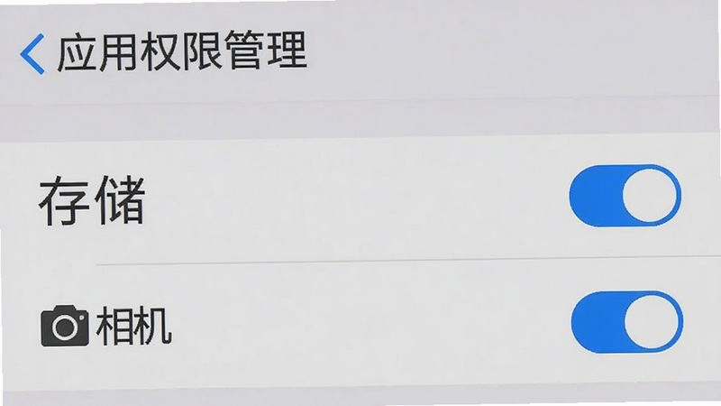 手机设置界面截图,显示“应用权限管理”页面,“存储”和“相机”权限开关均为开启状态(蓝色),背景为浅灰色,文字清晰,风格扁平化,细节准确,画质清晰,无多余弹窗