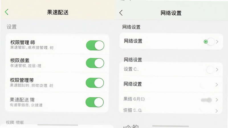 主体为果速配送App的设置界面截图,布局展示权限管理与网络设置选项,排版清晰,风格简洁,细节突出开关状态,画质清晰,干净,无多余元素,文字包含
