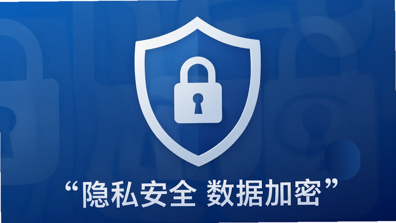 隐私安全盾牌图标展示,背景为蓝色渐变,中央是一个白色的盾牌,盾牌中间有一个锁的图案,下方有文字“隐私安全 数据加密”,整体设计专业且可信,色彩稳重,细节清晰,画质高,无多余装饰,文字加引号