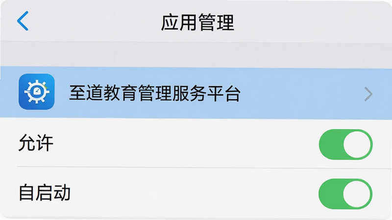 手机设置界面截图风格,显示