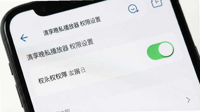 主体为手机设置界面,布局展示权限管理页面,排版清晰,风格系统原生感,细节突出存储权限开关,画质清晰,干净,无多余元素,文字包含