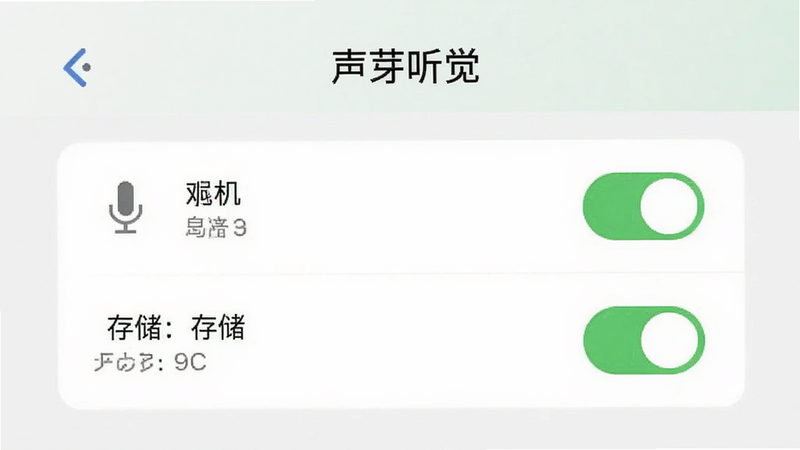�ֻ����ý����ͼ����ʾ����ѿ������APP��Ȩ�޹���ҳ�棬��˷�Ȩ���ѿ������洢Ȩ���ѿ�������������������࣬���壬��ˮӡ