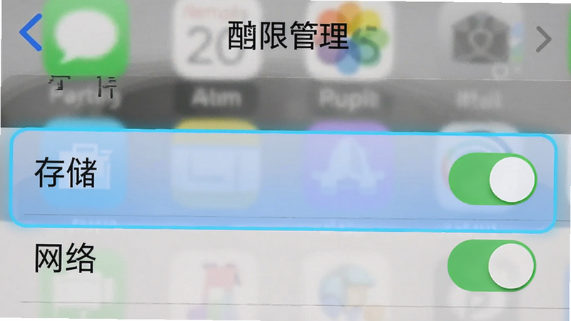 手机设置界面截图,显示“权限管理”列表,高亮显示“存储”和“网络”权限开关为开启状态,背景模糊,突出前景设置项,清晰,教程风格