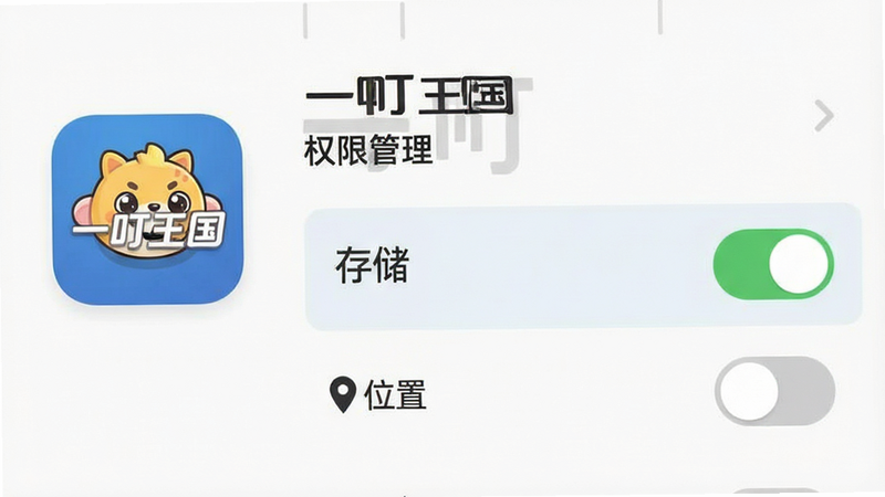 生成一张手机设置界面的示意图,主体为“一叮王国”应用的权限管理页面。布局清晰,左侧为应用图标,右侧为权限开关列表。风格为现代扁平化UI设计,配色简洁。细节处高亮显示“存储”权限为开启状态,“位置”为关闭状态。画质清晰,文字“一叮王国”、“权限管理”清晰可读,无多余装饰。