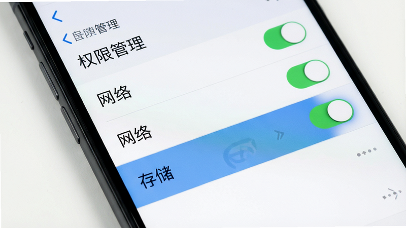 主体为手机设置界面,显示“权限管理”列表,背景为白色,布局为开关列表形式,重点高亮“网络”和“存储”权限开关,风格系统原生UI,细节清晰,画质高清,干净,无多余元素