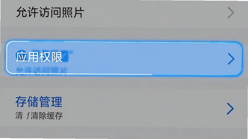 展示手机设置界面的截图,重点高亮'应用权限'和'存储管理'选项,界面文字清晰,如'允许访问照片'、'清除缓存',风格简洁明了,蓝色选中状态,高清,无多余装饰
