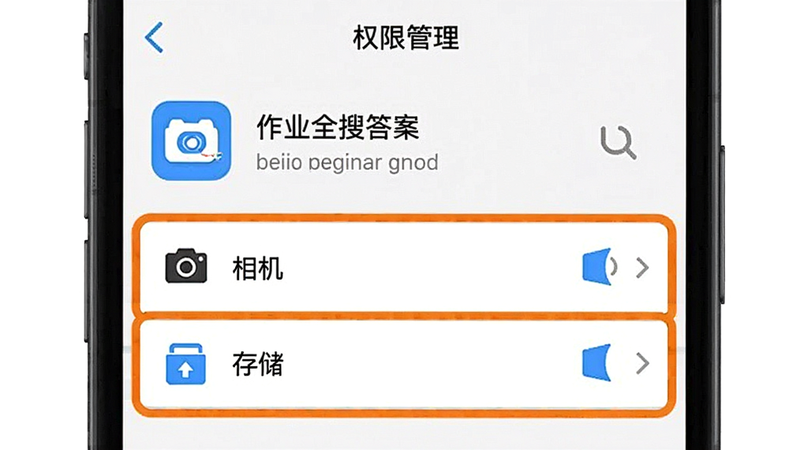 一张手机设置权限界面的示意图,显示“作业全搜答案”应用的权限管理页面,重点高亮“相机”和“存储”权限选项,界面简洁,系统UI风格,细节清晰,画质高,文字“权限管理”可见,无其他干扰元素