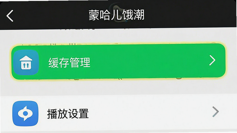 手机设置界面截图风格,显示“蒙哈儿饿潮”APP内部的设置选项,高亮显示“缓存管理”和“播放设置”栏目,界面清晰,按钮图标醒目,UI设计简洁,高清晰度,无干扰元素