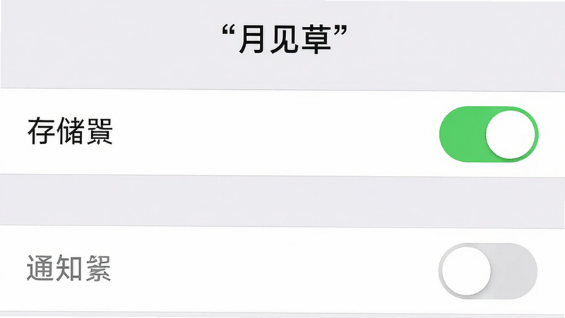 手机设置界面截图,显示“月见草”权限管理页面,存储权限开关为开启状态,通知权限为关闭状态,布局清晰,风格扁平化,细节展示开关按钮的绿色状态,画质高清,干净,无多余图标,文字“权限设置”加引号