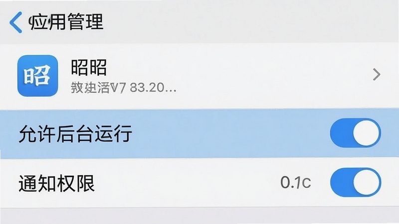 手机设置界面截图,显示“应用管理”中的“昭昭”应用权限设置,高亮显示“允许后台运行”与“通知权限”开关,布局列表式,风格系统原生,细节清晰可见,画质标准,干净,无多余元素