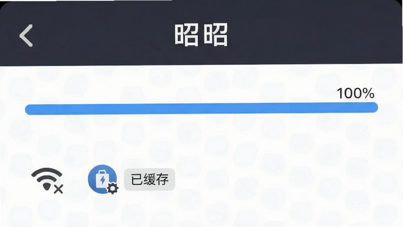展示“昭昭”APP离线下载界面,进度条显示100%,下方有“已缓存”标签,布局简洁,风格稳重,细节包含WiFi断开图标与本地存储标识,画质清晰,干净,无多余元素