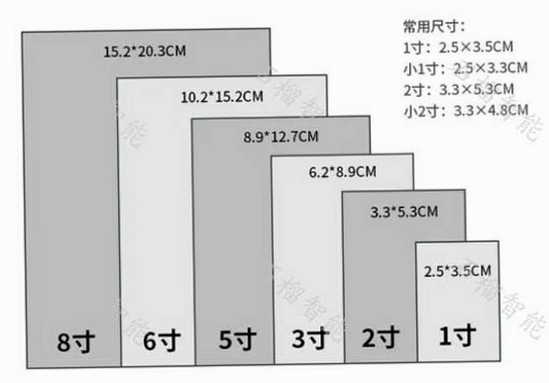 智慧证件照 安卓版 一寸二寸尺寸对比图