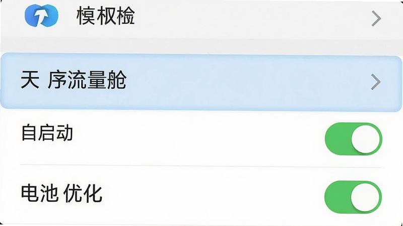 手机设置界面截图,显示应用权限管理页面,高亮选中