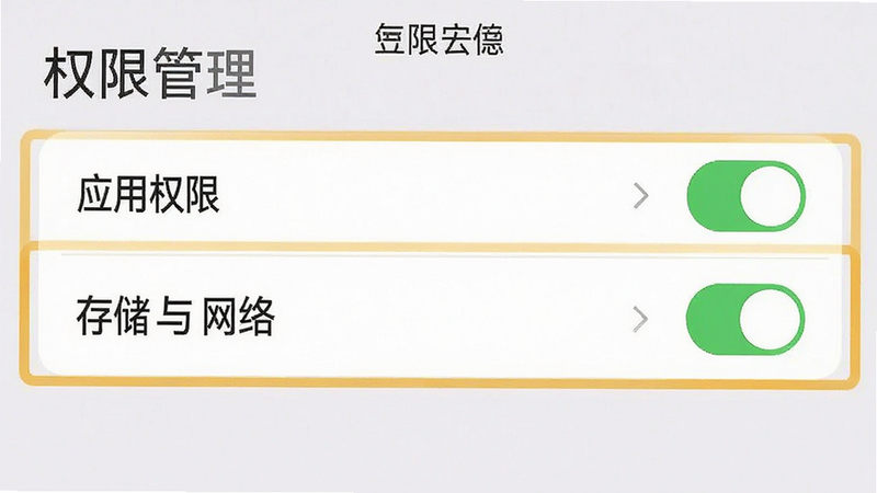 主体为手机设置界面截图,高亮显示“应用权限”中的存储与网络选项,布局清晰,排版整齐,风格扁平化,细节展现权限开关状态,画质清晰,干净,无多余元素,文字“权限管理”可见