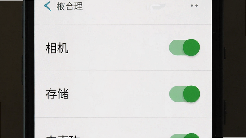 生成一张手机设置权限界面的截图,主体为安卓系统的权限管理页面,布局列表式,排版清晰显示“相机”和“存储”权限已开启,风格系统原生UI,细节显示绿色的允许开关,画质清晰,干净无水印