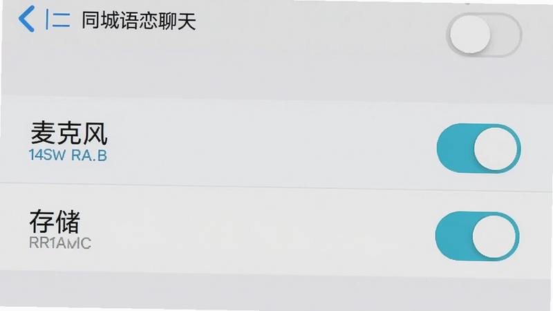 主体为手机设置界面截图,显示权限管理选项,背景为浅灰色,布局列表式,高亮显示“麦克风”和“存储”权限开关,排版清晰,风格简洁实用,细节处显示开关状态,画质高,干净,文字内容包含