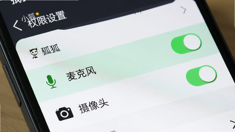 主体为手机系统设置界面特写,显示应用权限管理列表,布局清晰,高亮显示“麦克风”和“摄像头”权限开关,排版简洁,风格为系统原生UI,细节处展示开关状态与图标,画质高清,干净,无多余元素,文字包含