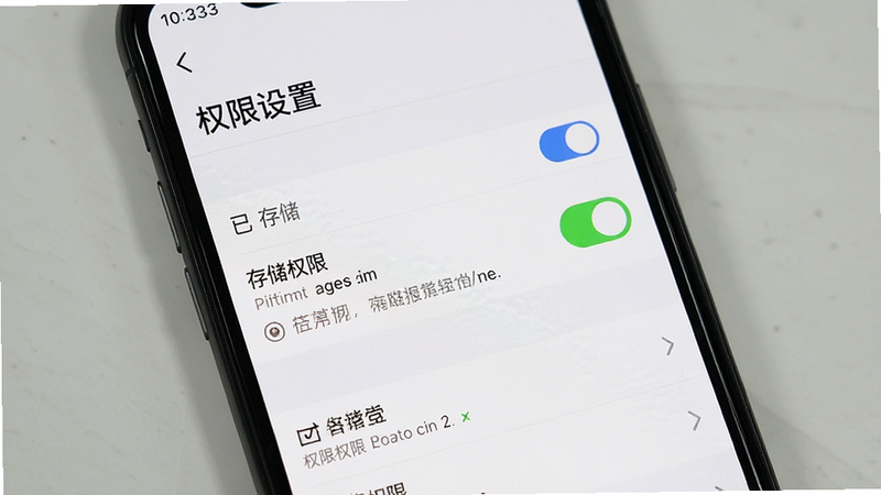 主体为手机设置界面截图,显示权限管理页面,布局为列表式,排版清晰,风格为iOS或Android原生UI风格,细节处突出“存储权限”已开启状态,画质清晰,干净背景,文字“权限设置”标题显示