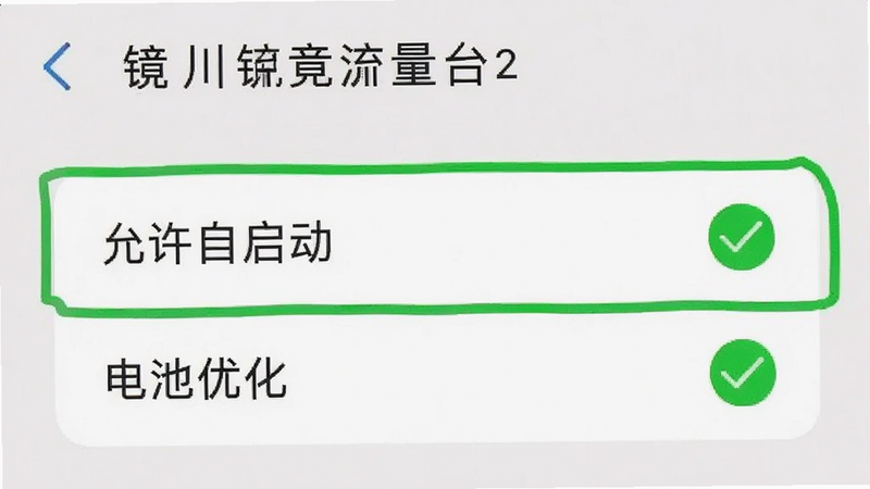 手机设置界面截图,显示“镜川流量台”的权限管理页面,高亮显示“允许自启动”和“电池优化”选项,绿色勾选标记,清晰直观,操作指引风格,高清,无多余图标,干净