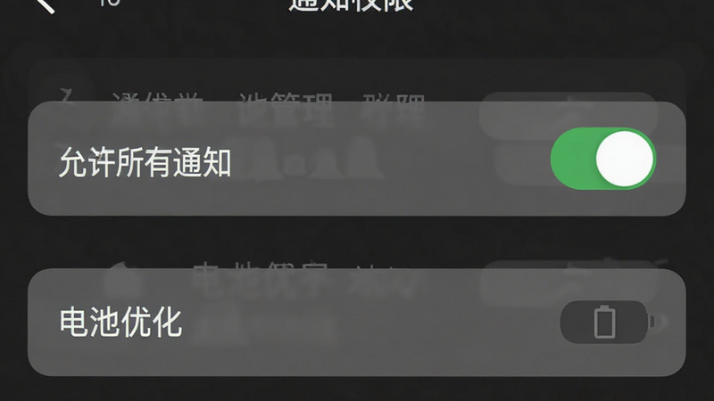 主体为手机设置权限界面截图,布局聚焦于“通知管理”与“电池优化”选项,风格为简洁UI设计,细节高亮显示“允许所有通知”开关,画质清晰,干净,无多余元素